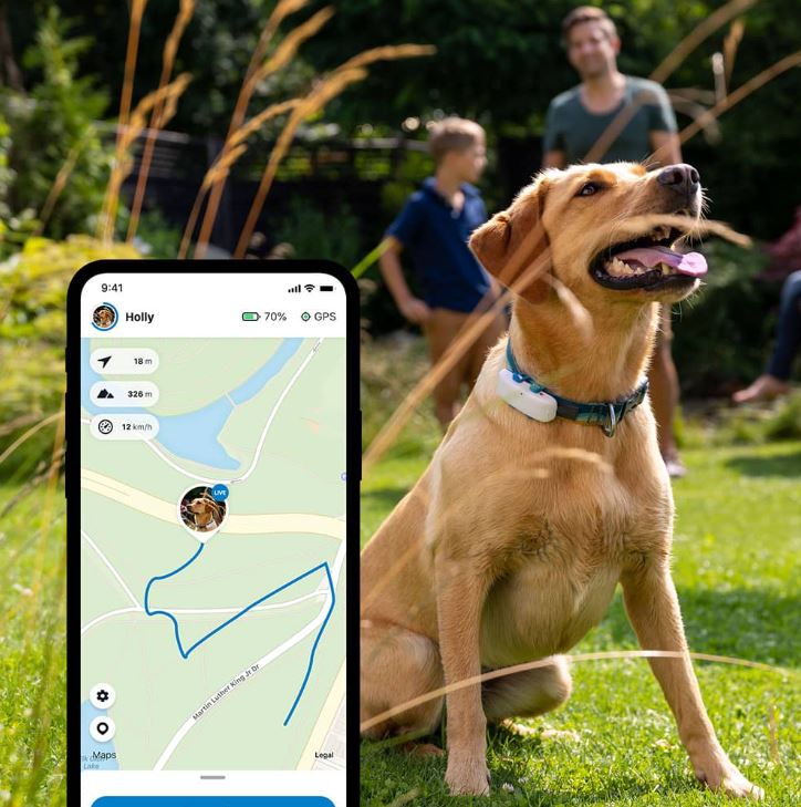 GPS obojek pro psy Tractive